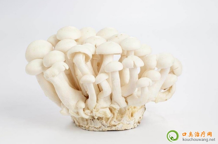 口臭可以吃姬菇 口臭可以吃姬菇