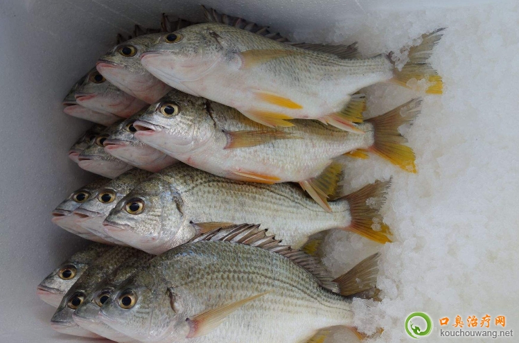 口臭可以吃黃腳笠 口臭可以吃黃腳笠